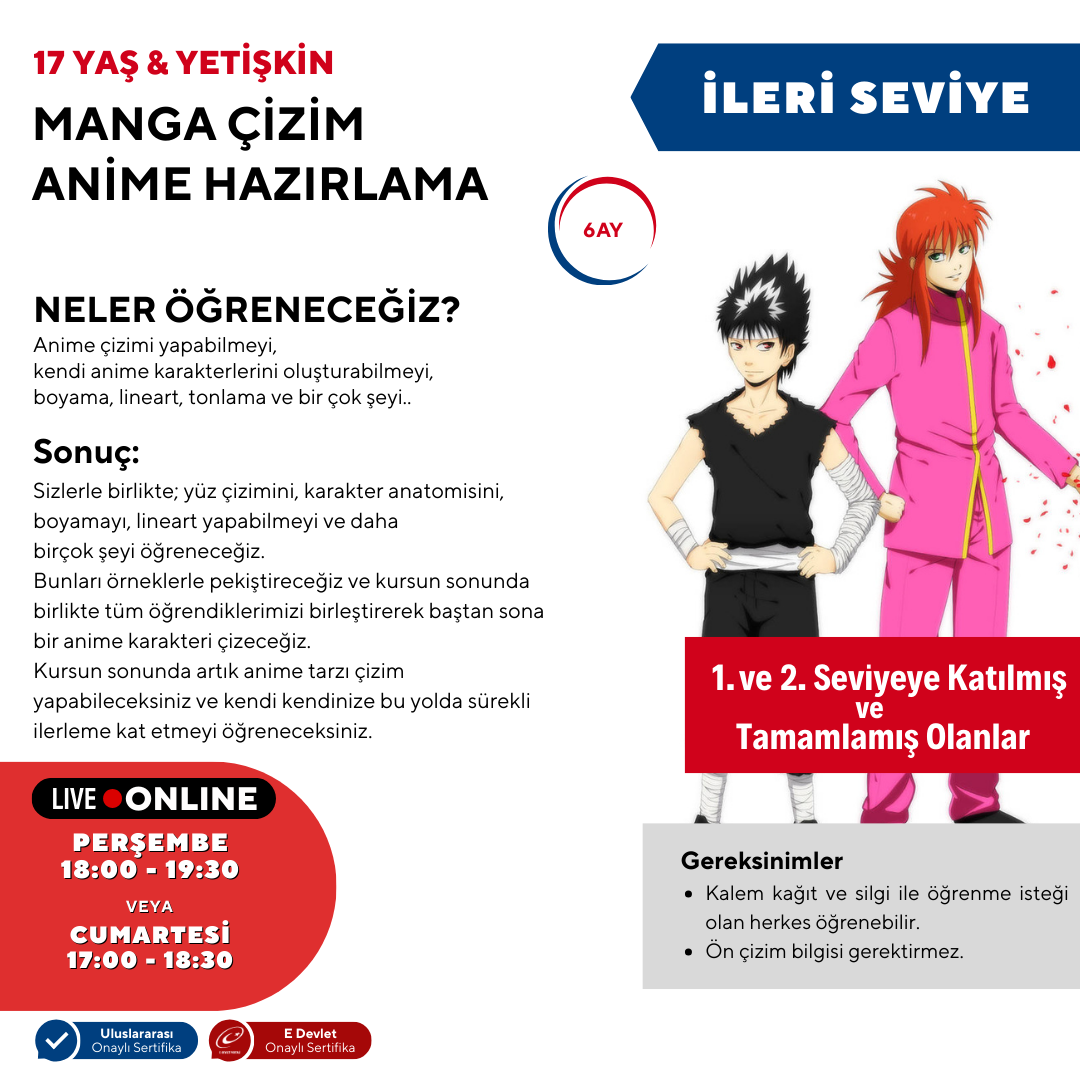 Manga Çizim ve Anime Hazırlama  (İleri Seviye)(17 Yaş ve Yetişkin)
