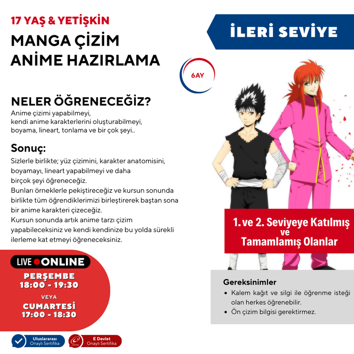 Manga Çizim ve Anime Hazırlama  (İleri Seviye)(17 Yaş ve Yetişkin)