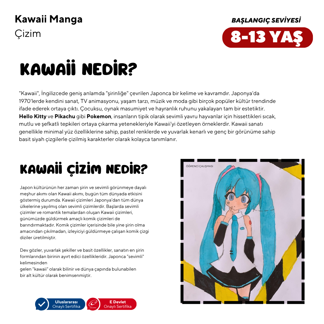 Kawaii Manga Drawing (8-13 Years Old) - Face to Face