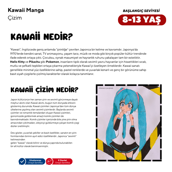 Kawaii Manga Drawing (8-13 Years Old) - Face to Face