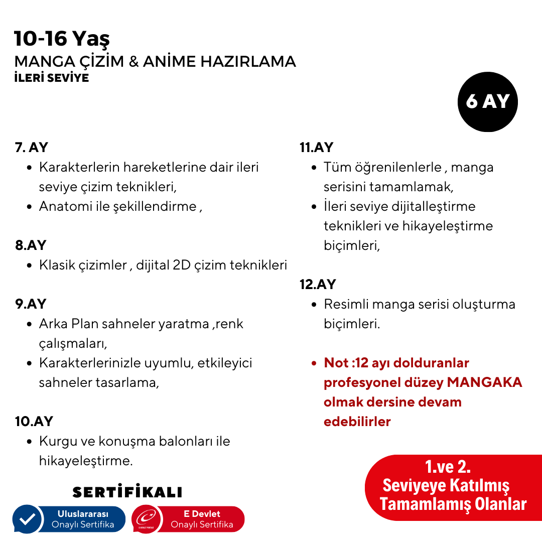 Manga Çizim ve Anime Hazırlama- Yüz Yüze  (İleri Seviye)(10-16 Yaş)