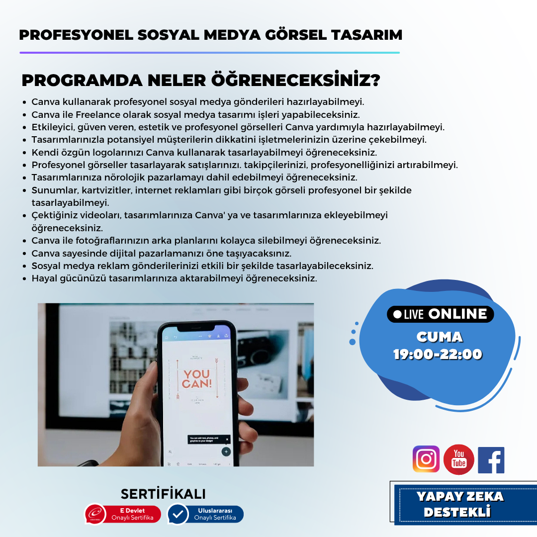 Professional Social Media Visual Design (Canva)