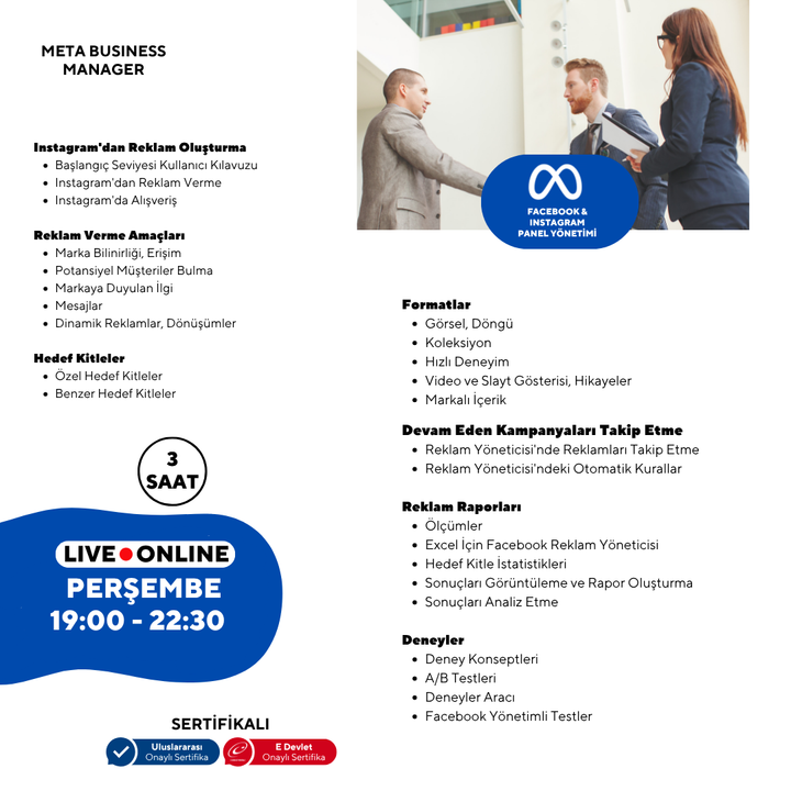 Meta Business Manager (Panel Management)