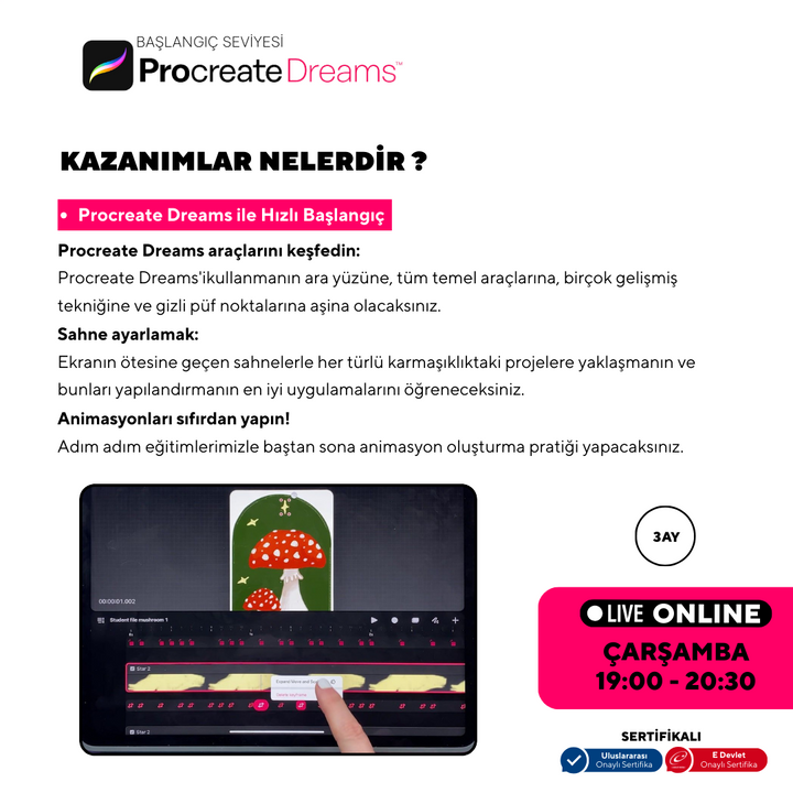 Procreate Dreams  - Başlangıç Seviyesi - Online