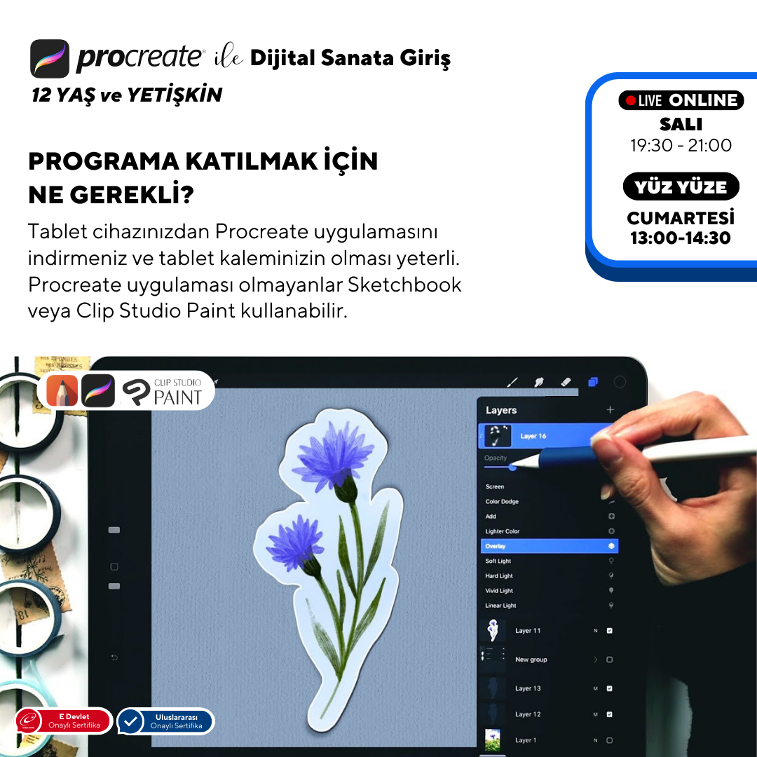 Introducción al Arte Digital con Procreate (+12 Años y Adultos)