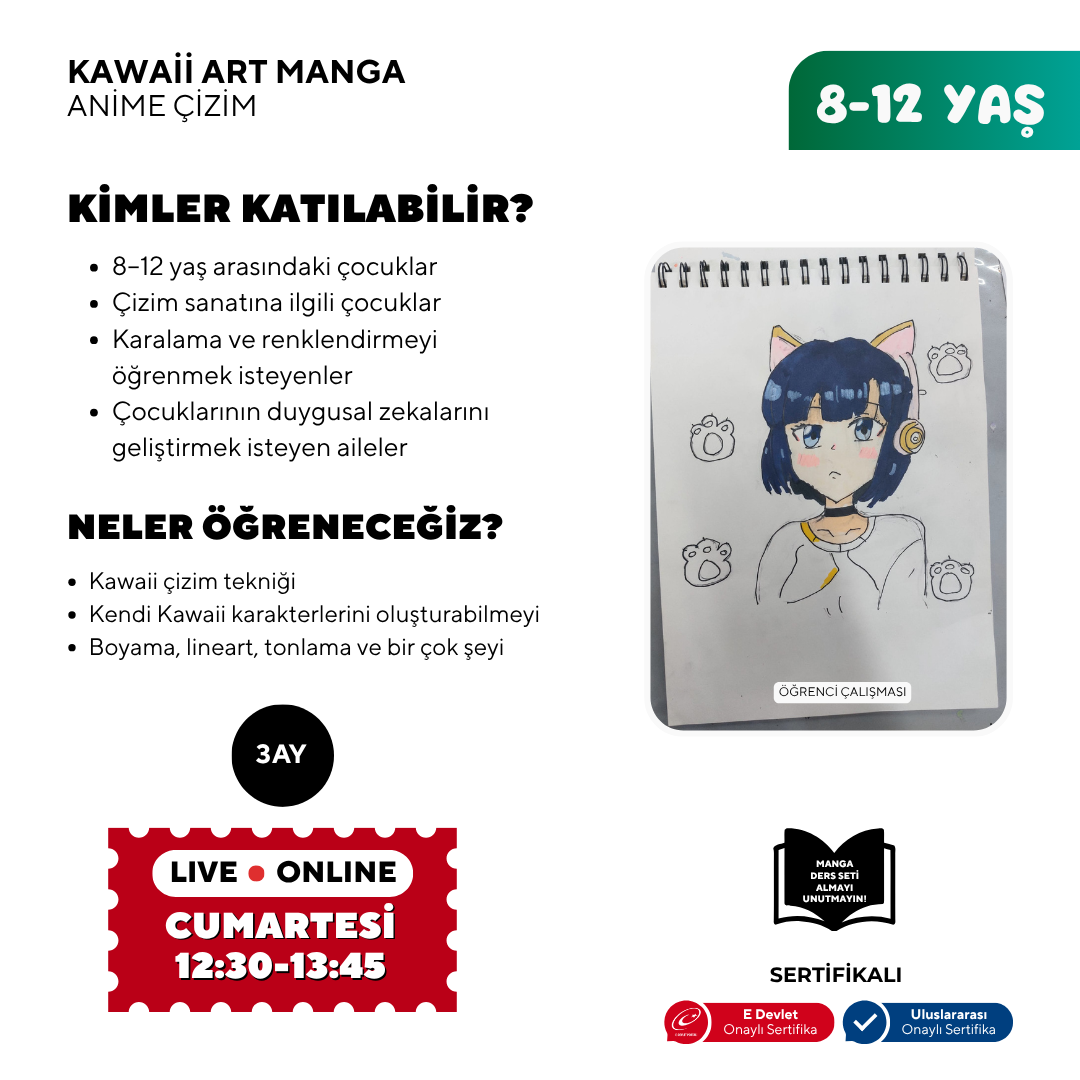 Disegno artistico kawaii (8-12 anni)