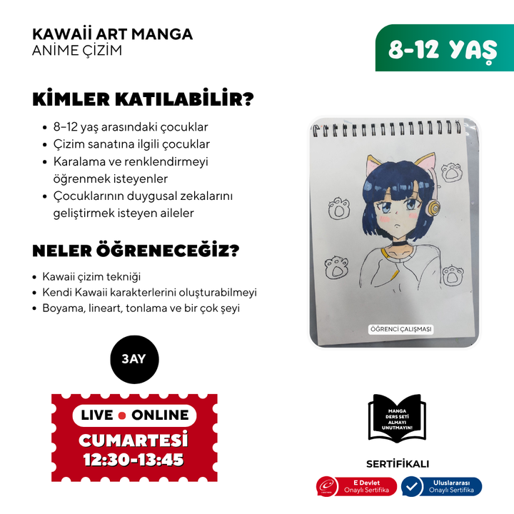 Disegno artistico kawaii (8-12 anni)