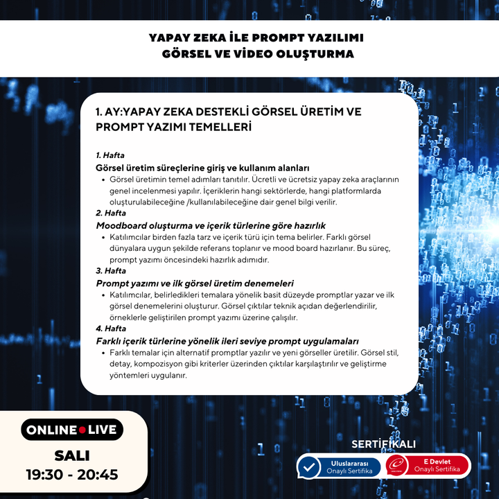 Yapay Zeka ile Prompt Yazılımı ( Görsel ve Video Oluşturma ) - Online