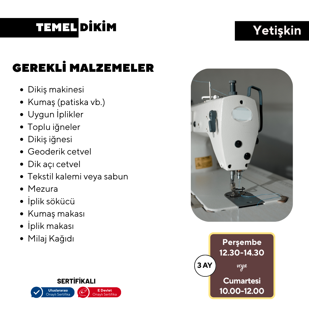 Grundlegendes Pflanzen – von Angesicht zu Angesicht