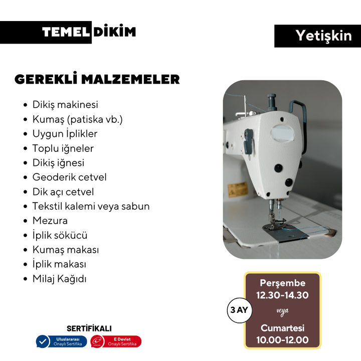 Grundlegendes Pflanzen – von Angesicht zu Angesicht