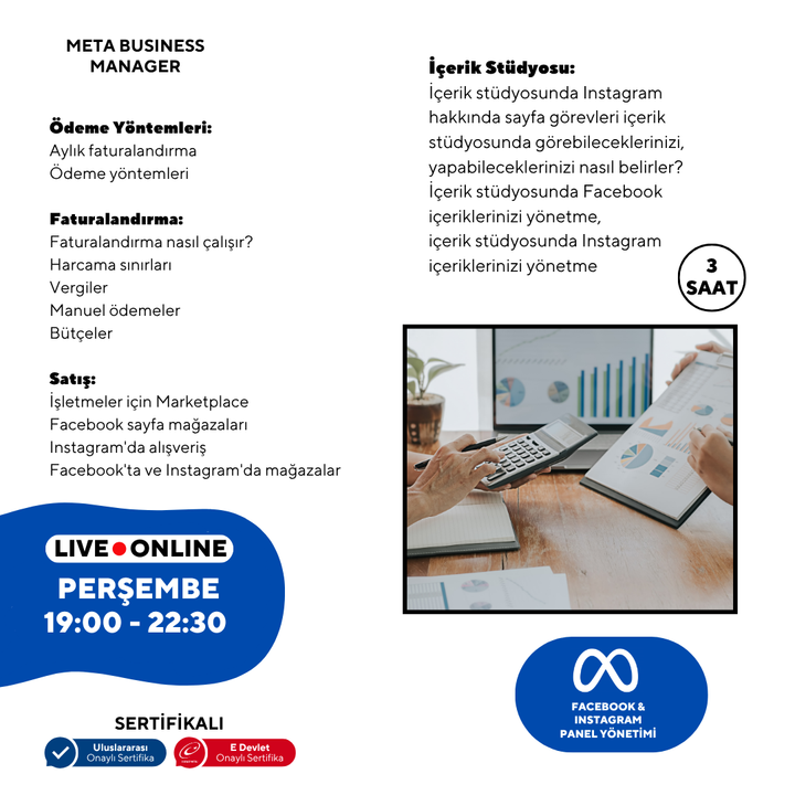 Meta Business Manager (Panel Management)