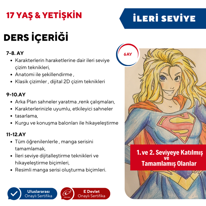 Manga Çizim ve Anime Hazırlama  (İleri Seviye)(17 Yaş ve Yetişkin)