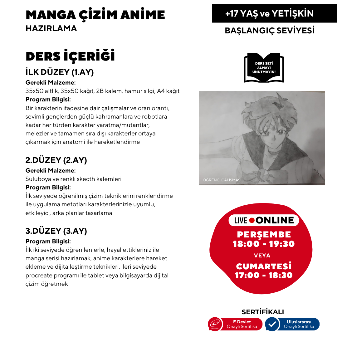 Manga y Anime (17 años y adultos)