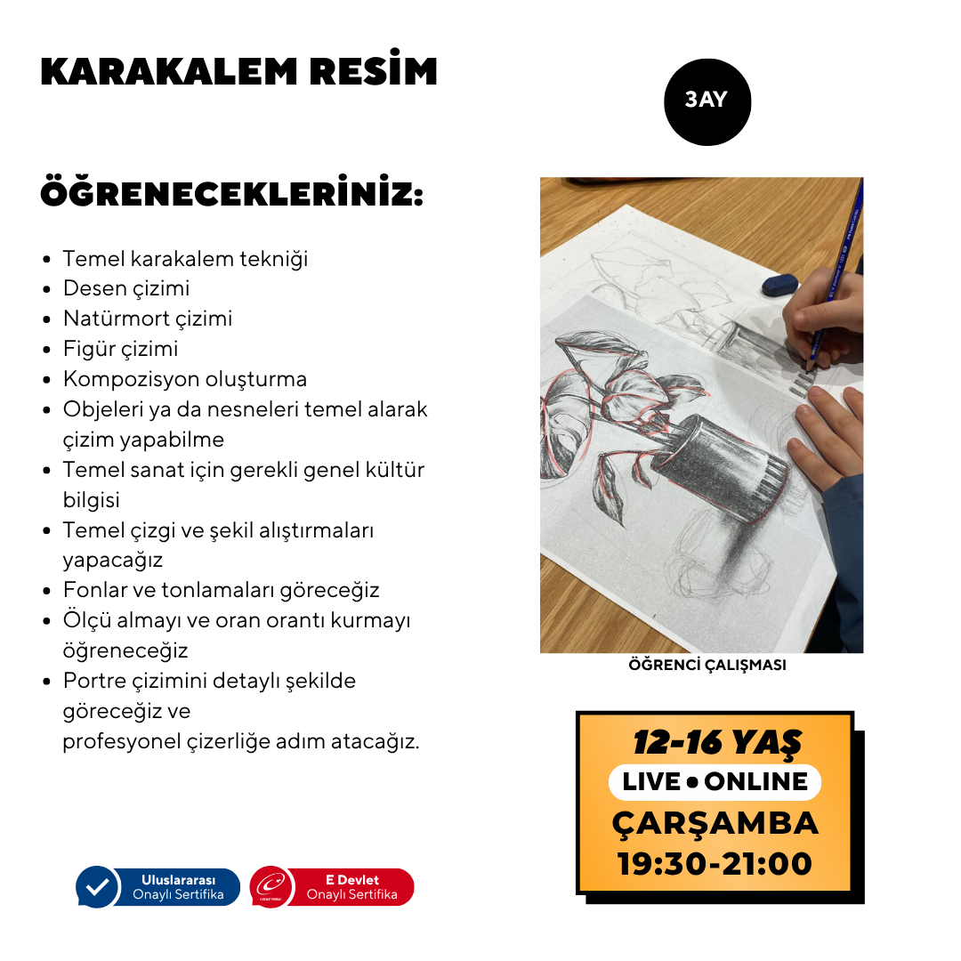 Disegno a carboncino (12-16 anni)