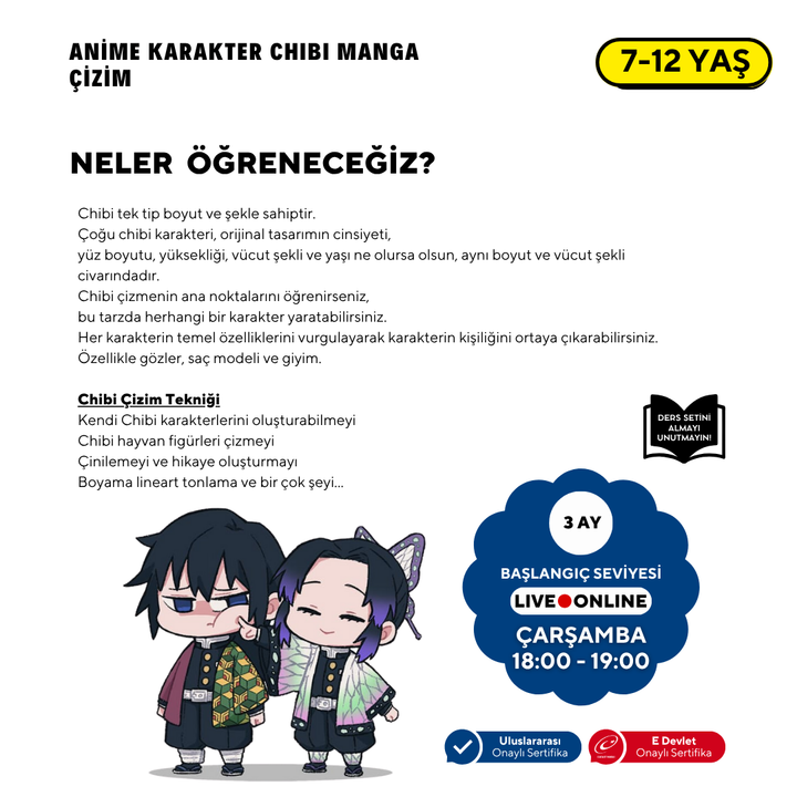 Chibi &amp; Furry Drawing (7-12 Years Old)
