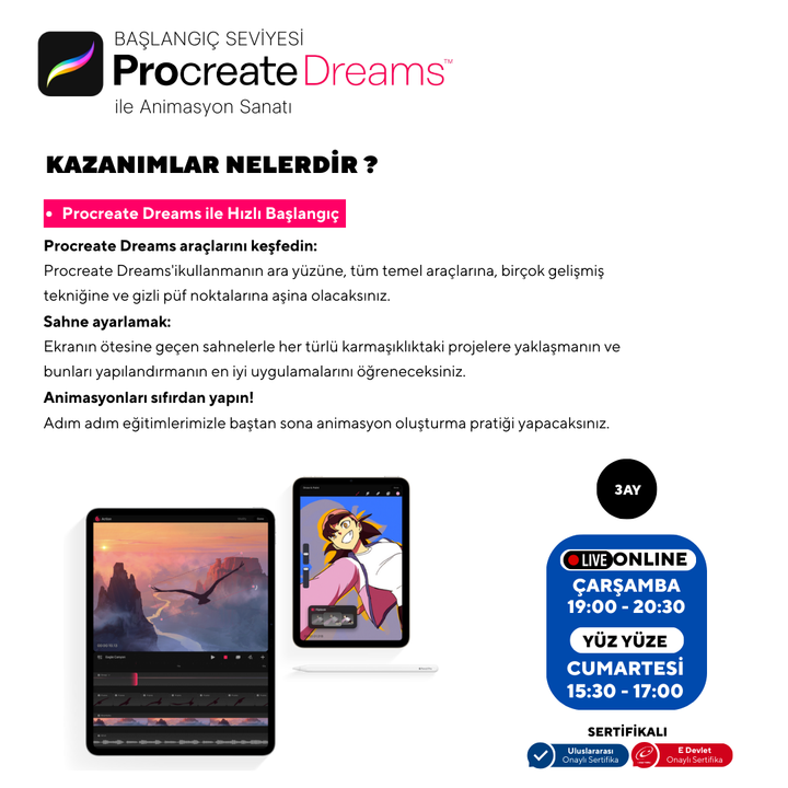 Procreate Dreams  - Başlangıç Seviyesi - Online