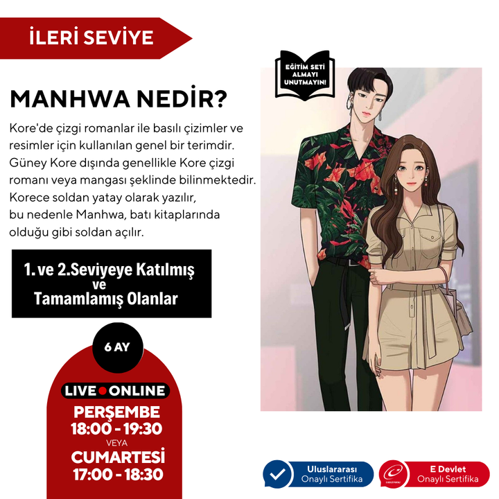 Webtoon ve Manhwa (Kore Çizgi Roman) Hazırlama  (İleri Seviye )