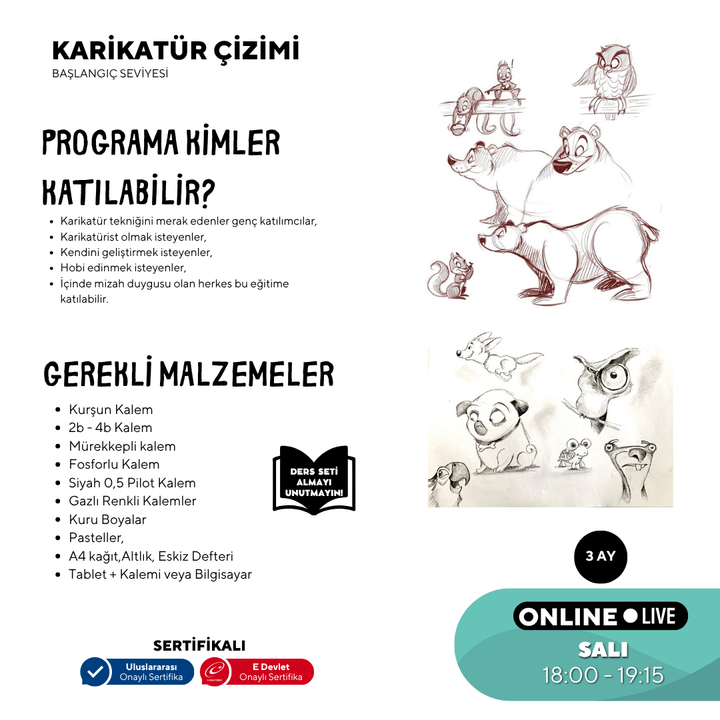 Рисование мультфильмов (9-15 лет)