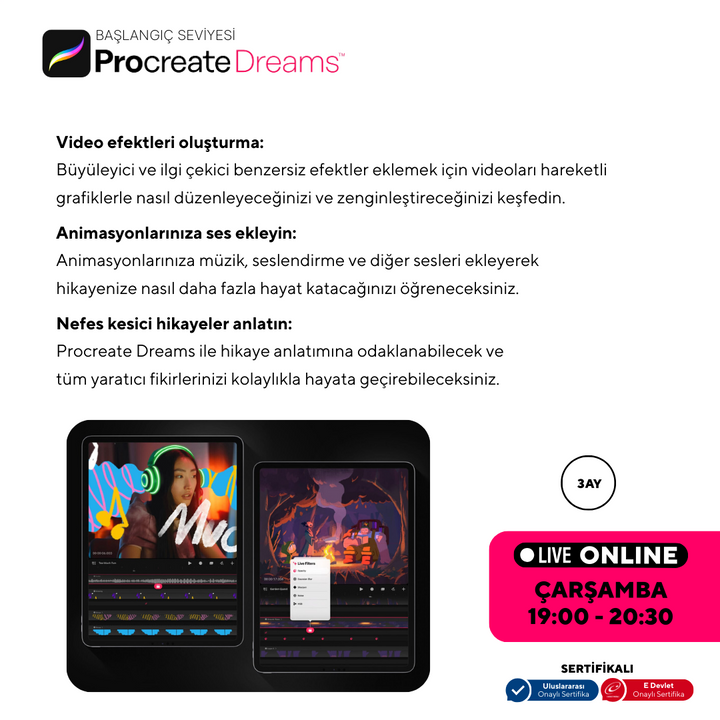Procreate Dreams  - Başlangıç Seviyesi - Online