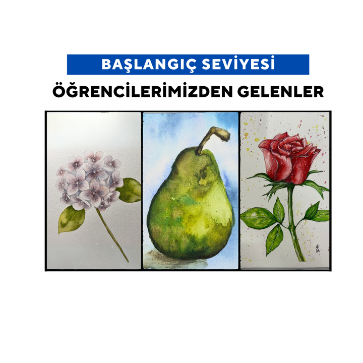 Sulu Boya İllustrasyon (Yetişkin)