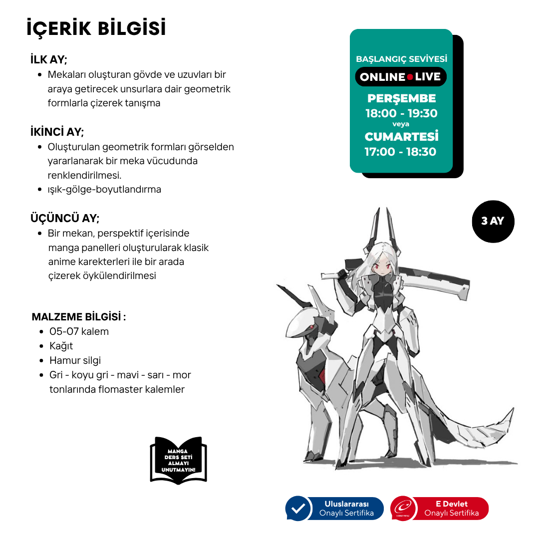 Preparación para el dibujo de manga mecha (10-16 años)