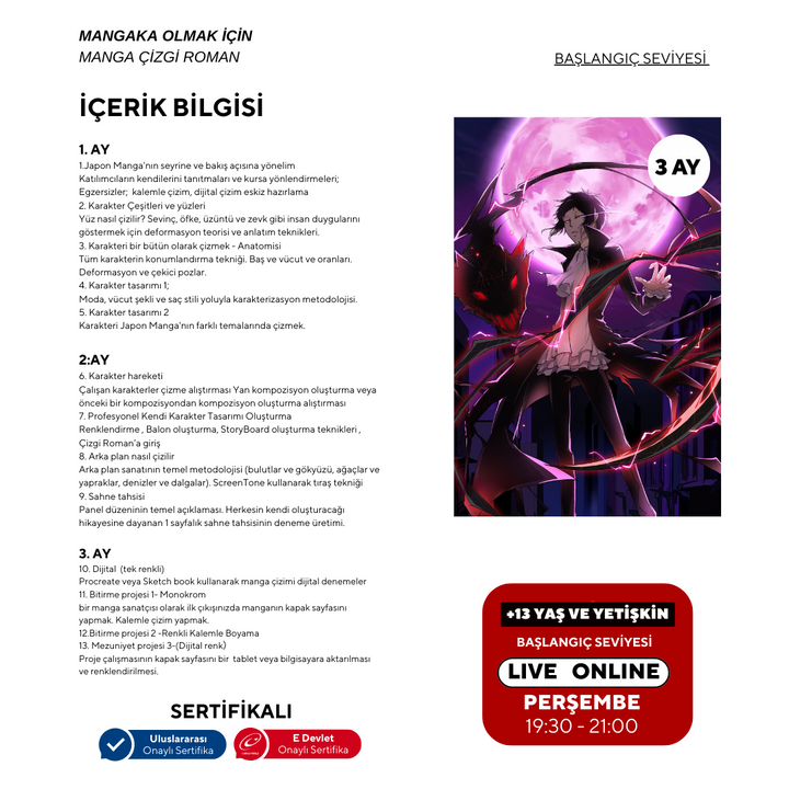 Mangaka Olmak için Japon Çizgi Roman (MANGA) Storyboard