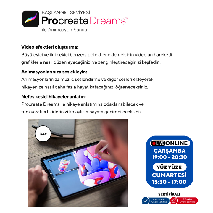 Procreate Dreams  - Başlangıç Seviyesi - Online