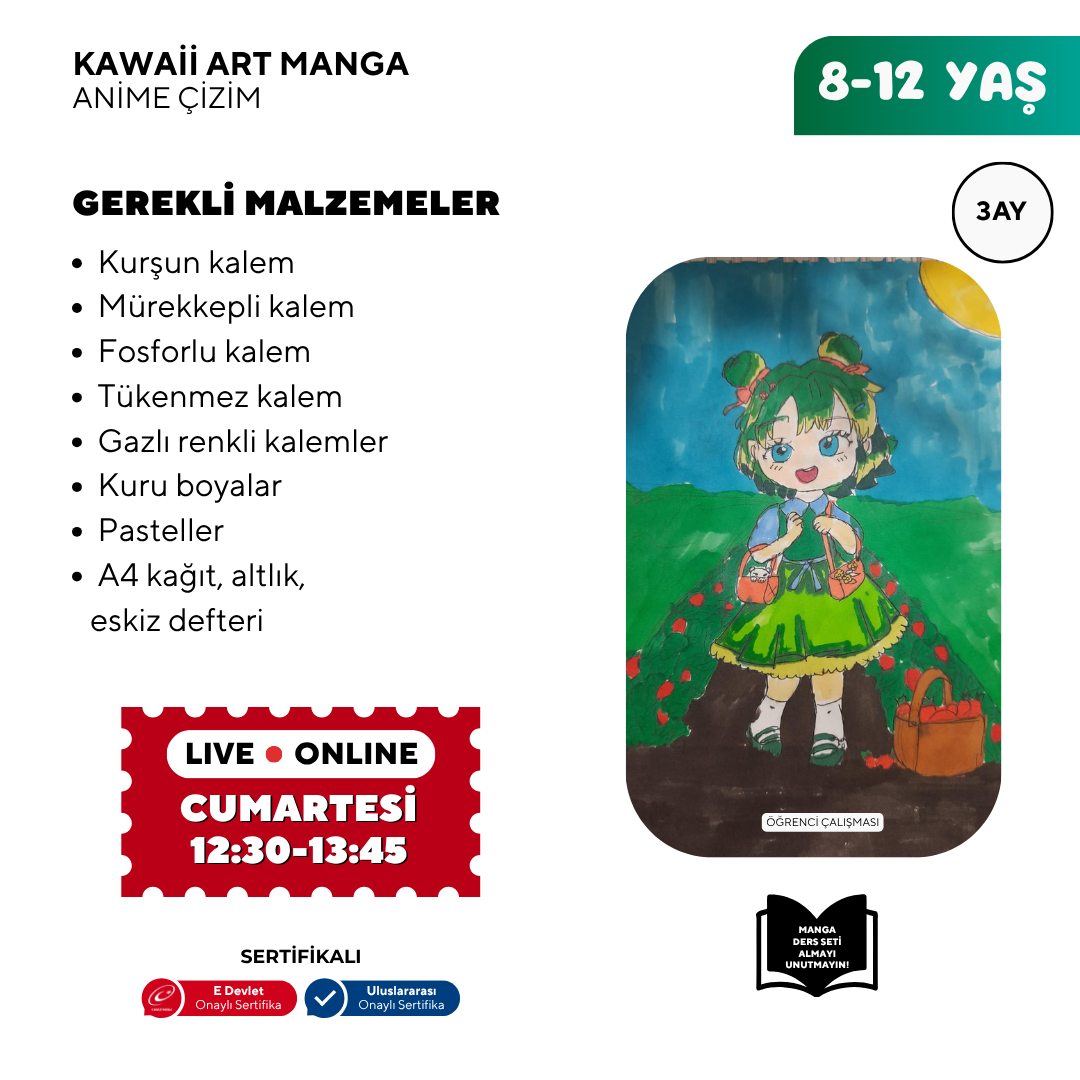 Disegno artistico kawaii (8-12 anni)