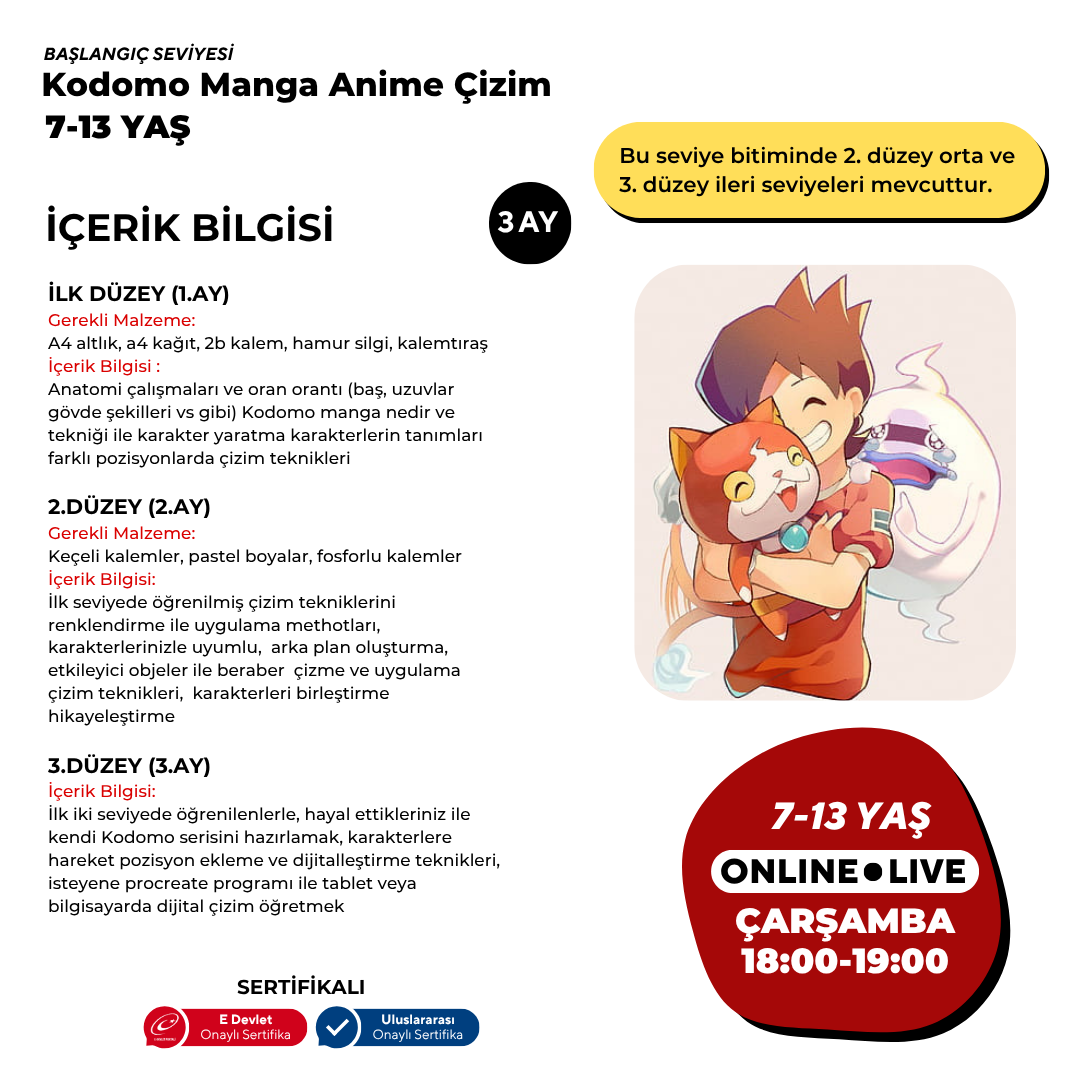 Disegno di manga e anime Kodomo (7-13 anni)