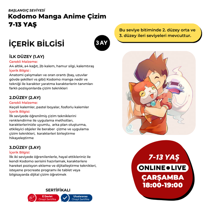 Disegno di manga e anime Kodomo (7-13 anni)