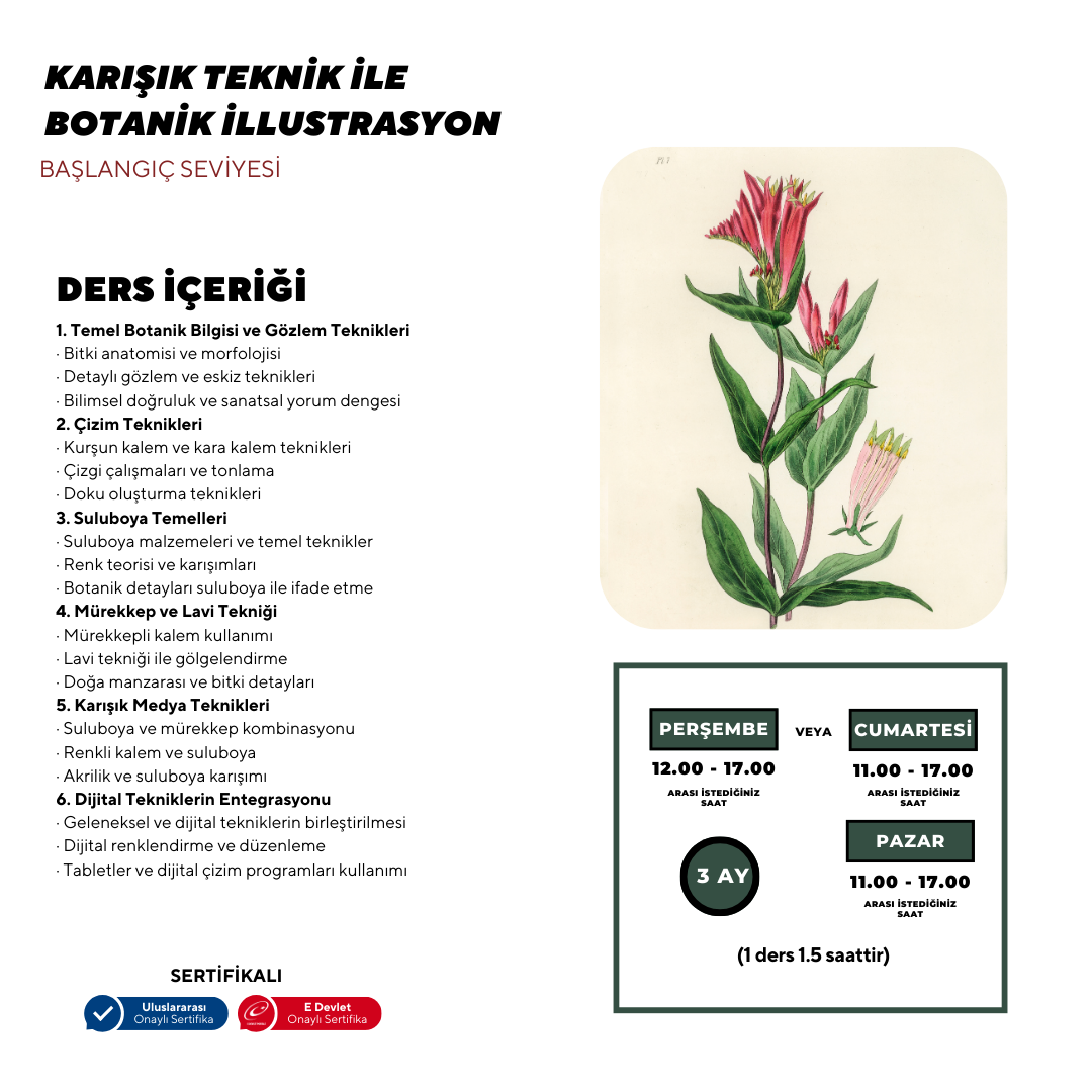 Botanical Illustration - Face to Face