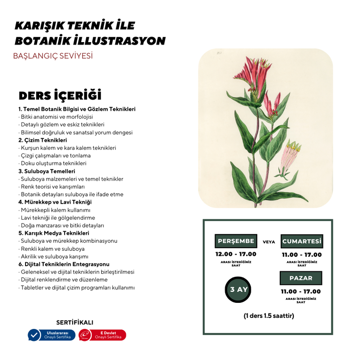 Botanical Illustration - Face to Face