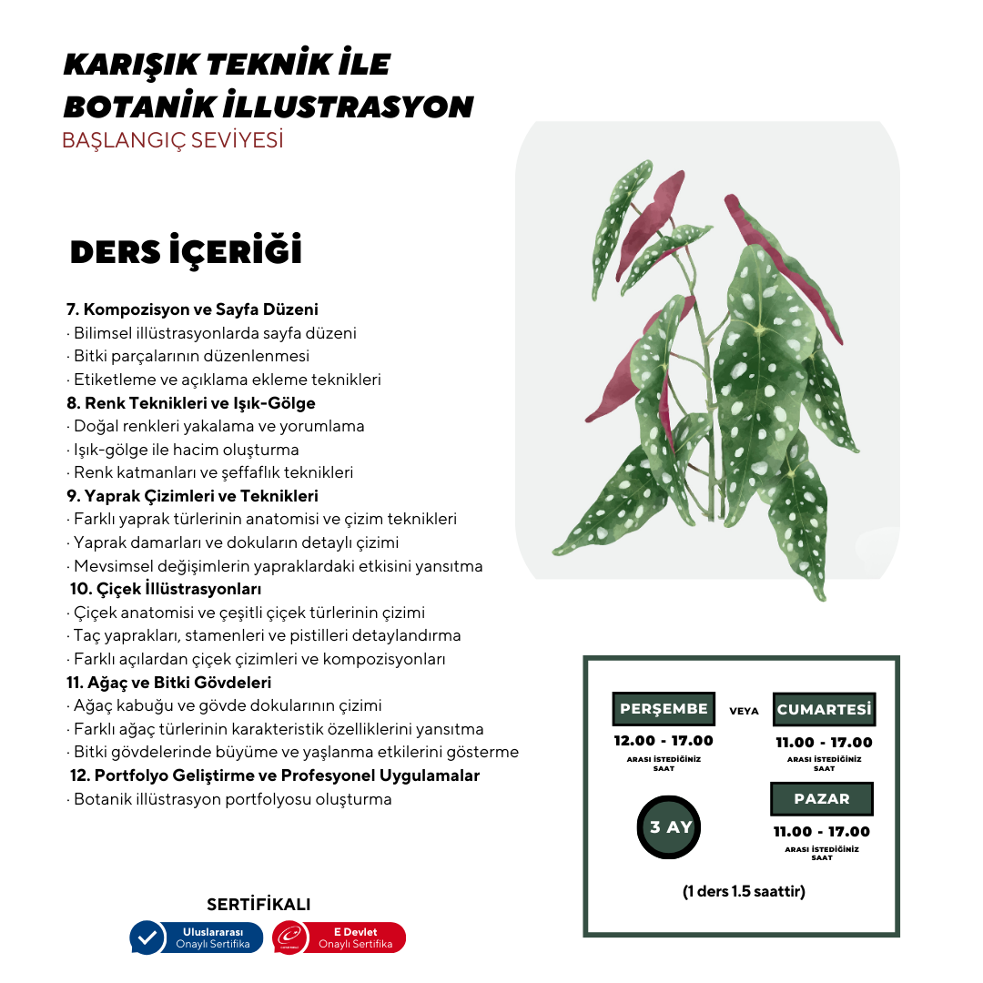 Botanical Illustration - Face to Face