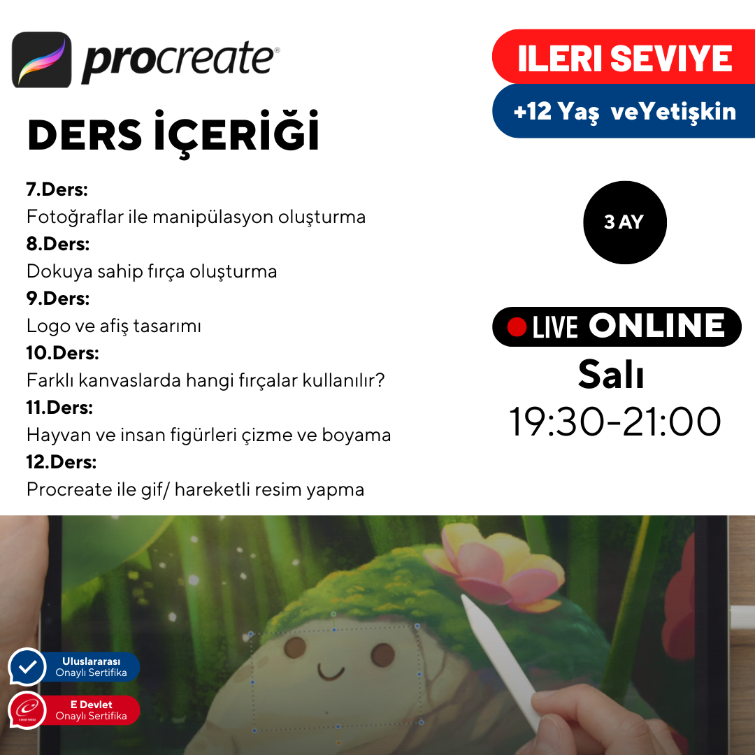 Procreate ile Dijital Sanat  - İleri Seviye -Online