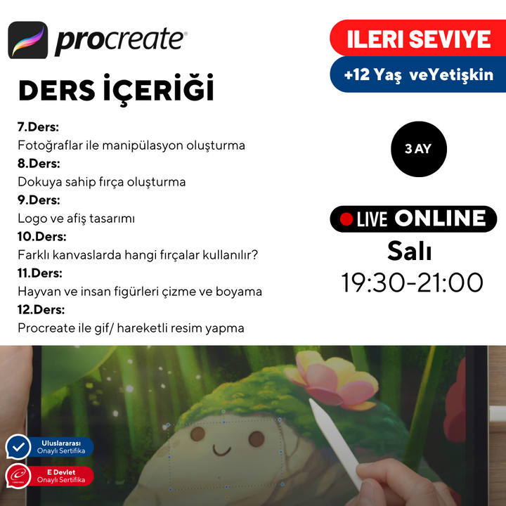 Procreate ile Dijital Sanat  - İleri Seviye -Online