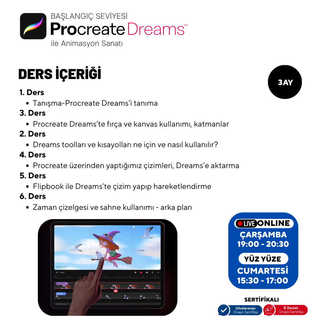 Procreate Dreams  - Başlangıç Seviyesi - Online
