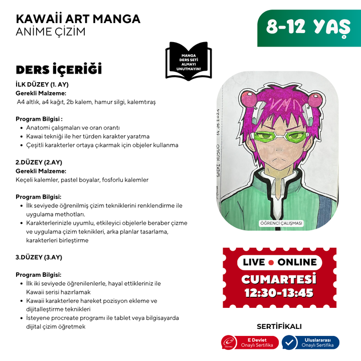 Disegno artistico kawaii (8-12 anni)