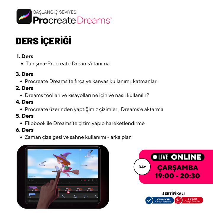 Procreate Dreams  - Başlangıç Seviyesi - Online