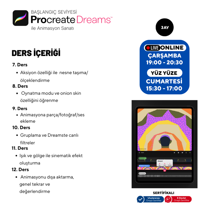 Procreate Dreams  - Başlangıç Seviyesi - Online
