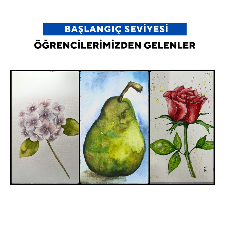 Sulu Boya İllustrasyon (Yetişkin)